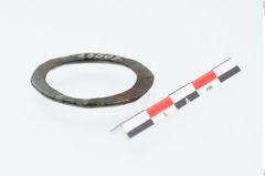 Foto von Bronzering (NHMW-PRAE-025607)